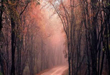 [大咖陪你看篮球]的防守难题亟待解决.