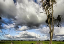 乐天堂联盟：德甲：沃尔夫斯堡以4比3 险胜美因茨.