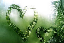 法医：马拉多纳离世过程很痛苦，心脏重量为正常2倍&腹部积水.