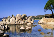 库巴西：我们拥有必胜的信念，在任何比赛中都不会放弃.